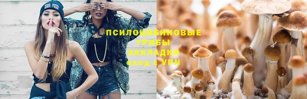 ECSTASY Алзамай