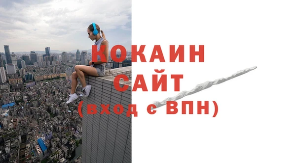 ECSTASY Алзамай