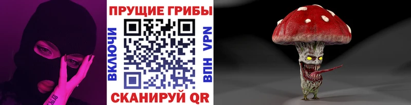 наркотики  мега зеркало  Галлюциногенные грибы мицелий  Яровое 